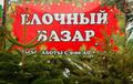 Площадь под елочный базар в аренду