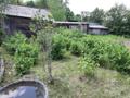 Дом с большим участком земли