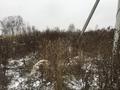 Земельный участок, площадь 53900 кв.м. г Москва, вн.тер. г. поселение Первомайское
