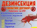 Уничтожение клопов, тараканов, грызунов, запахов в Норильске